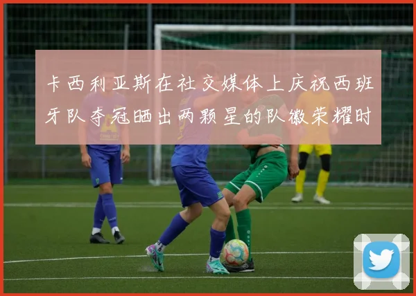 卡西利亚斯在社交媒体上庆祝西班牙队夺冠晒出两颗星的队徽荣耀时刻