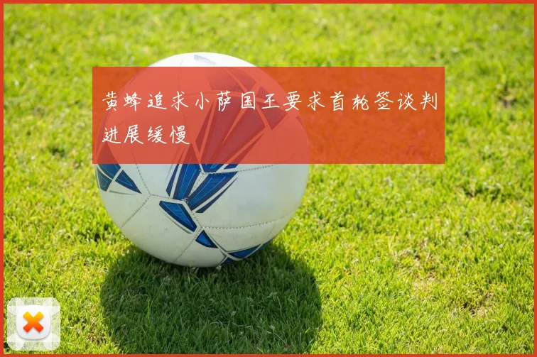 黄蜂追求小萨国王要求首轮签谈判进展缓慢
